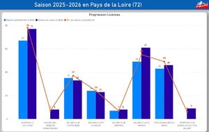 Billard en Sarthe: point d'étape de la saison sportive 2025/2026.